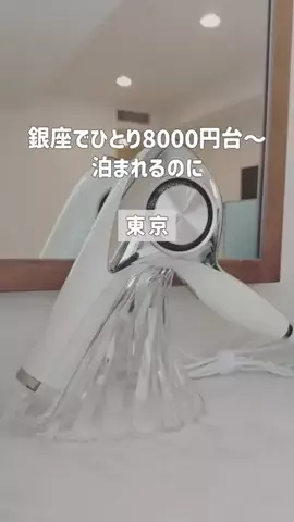 旅するてりやきのTikTok投稿