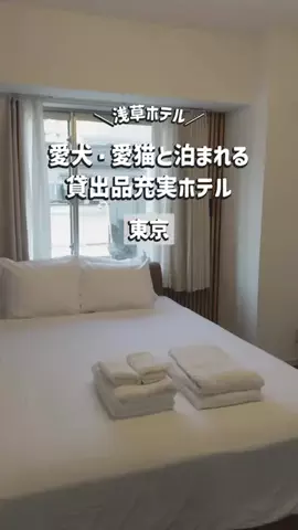 旅するてりやきのTikTok投稿
