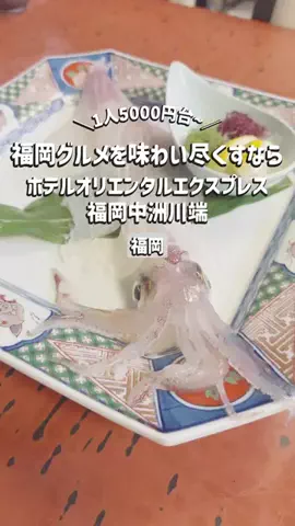 旅するてりやきのTikTok投稿