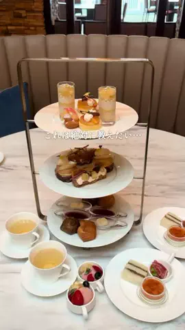 はなとものTikTok投稿