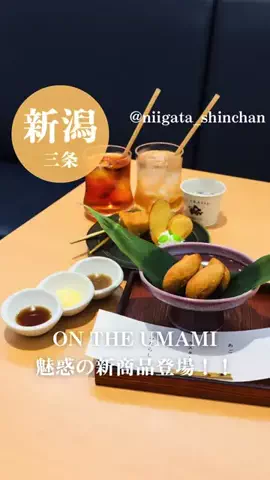しんちゃん | 新潟グルメ&カフェのTikTok投稿