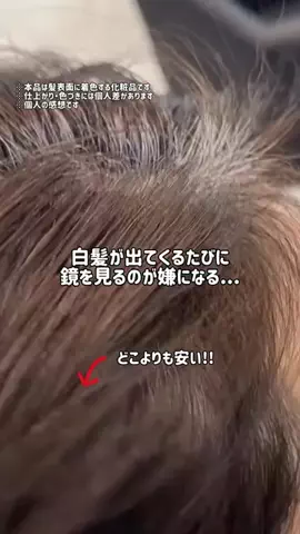 ぽむのTikTok投稿