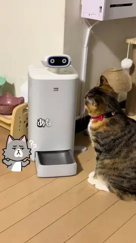 じょいのTikTok投稿