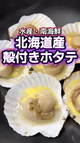 🍋remon🍋🏍️coelacanthのTikTok投稿
