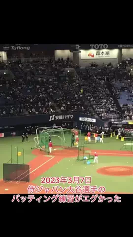 D-TigerのTikTok投稿