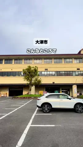 滋賀グルメロモアのTikTok投稿