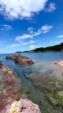 とっとりずむ【鳥取おでかけ・グルメ】のTikTok投稿