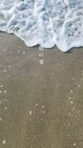とっとりずむ【鳥取おでかけ・グルメ】のTikTok投稿