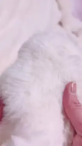 オリオリ🧸のTikTok投稿