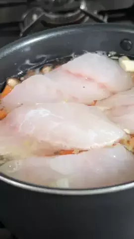 コウタの釣りch。のTikTok投稿