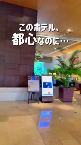 トン｜旅宿のTikTok投稿