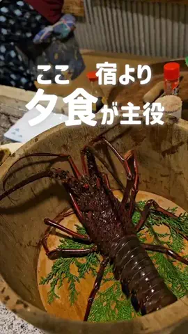 トン｜旅宿のTikTok投稿