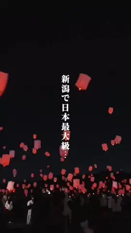 がたうぉーかー【新潟グルメ/スポット】のTikTok投稿