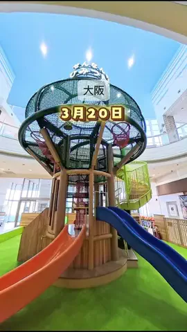tabi_kids_kansaiのTikTok投稿