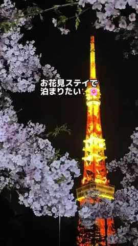 行ってみた｜ホテル紹介のTikTok投稿