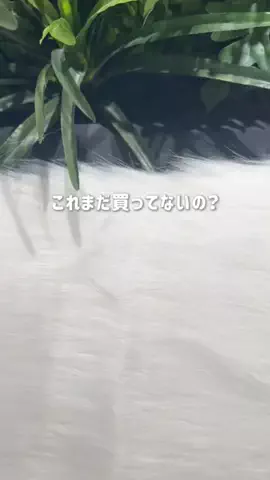 mimiのTikTok投稿