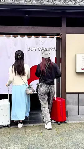 HOTEL PICKS｜ホテル・宿案内のTikTok投稿