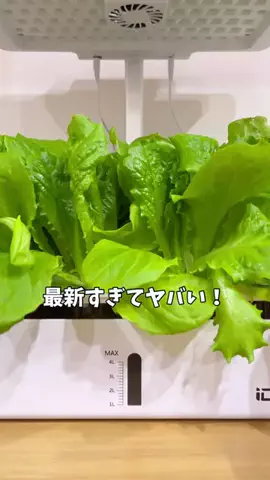はる｜年間100種類の野菜を育てる3児のママ🍅のTikTok投稿