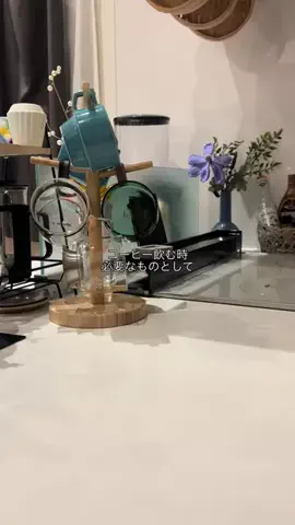 potariのTikTok投稿