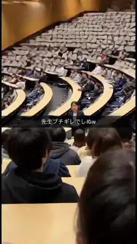 イカルゴのTikTok投稿