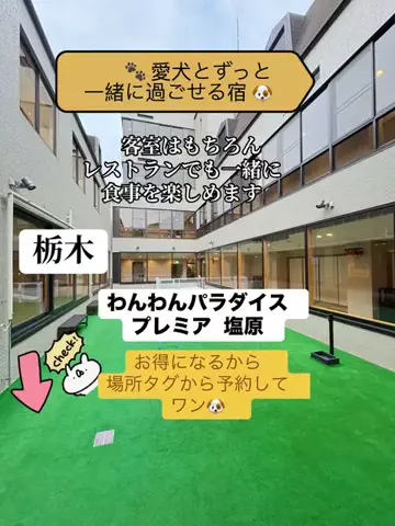 はなちゃん🍎ツアコン🇯🇵♨️のTikTok投稿