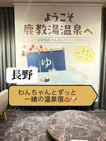 はなちゃん🍎ツアコン🇯🇵♨️のTikTok投稿