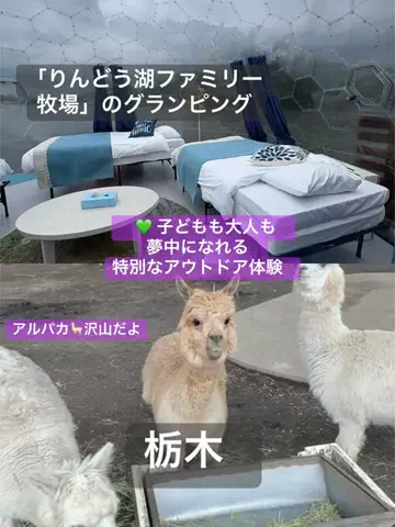 はなちゃん🍎ツアコン🇯🇵♨️のTikTok投稿