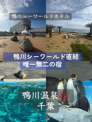 はなちゃん🍎ツアコン🇯🇵♨️のTikTok投稿