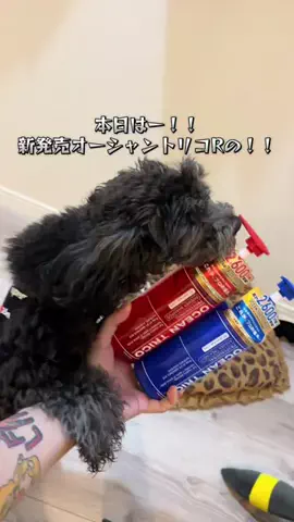 瀬奈カルロスのTikTok投稿