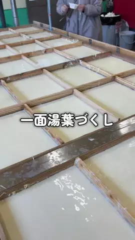 レラママのTikTok投稿