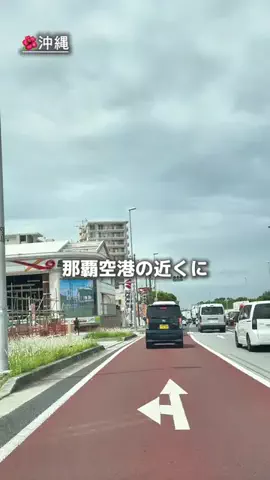 あや｜沖縄グルメのTikTok投稿