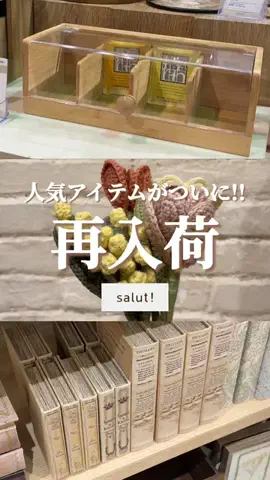 はるの𓊆 好きを見逃さない新作雑貨速報 𓊇のTikTok投稿