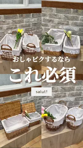 はるの𓊆 好きを見逃さない新作雑貨速報 𓊇のTikTok投稿