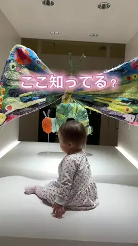 レラママ🧸おもちゃと便利グッズのTikTok PR投稿：#tiktokgo #pr 