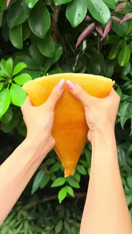 MOGUMOGU FOODのTikTok投稿