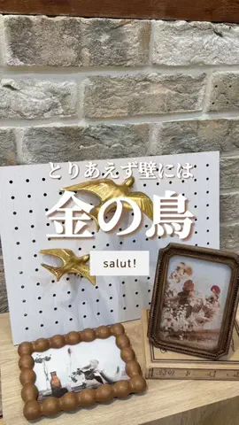 はるの𓊆 好きを見逃さない新作雑貨速報 𓊇のTikTok投稿