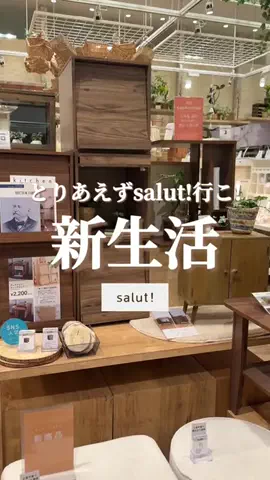 はるの𓊆 好きを見逃さない新作雑貨速報 𓊇のTikTok投稿
