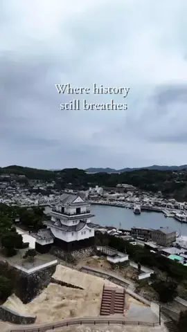 MAP Japan 🇯🇵のTikTok投稿