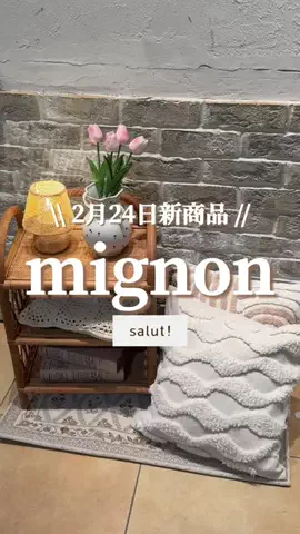 はるの𓊆 好きを見逃さない新作雑貨速報 𓊇のTikTok投稿