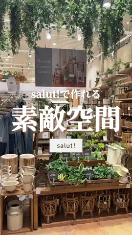 はるの𓊆 好きを見逃さない新作雑貨速報 𓊇のTikTok投稿