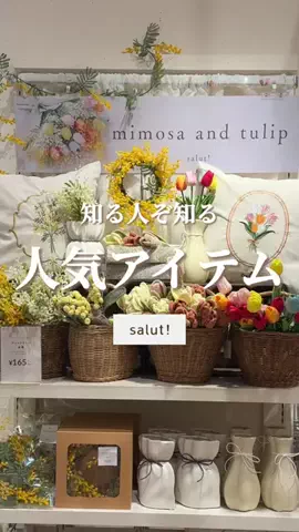 はるの𓊆 好きを見逃さない新作雑貨速報 𓊇のTikTok投稿