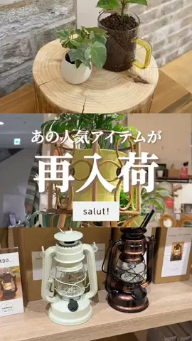 はるの𓊆 好きを見逃さない新作雑貨速報 𓊇のTikTok投稿