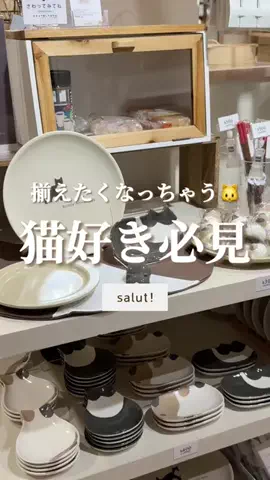 はるの𓊆 好きを見逃さない新作雑貨速報 𓊇のTikTok投稿