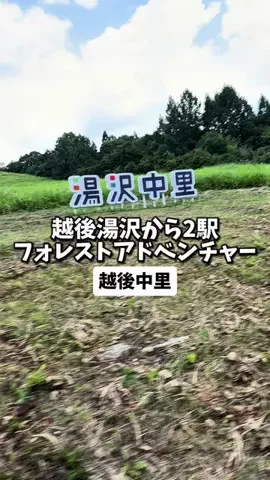 日本グルメのTikTok投稿
