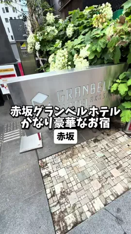 日本グルメのTikTok投稿