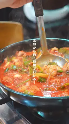 高知の山崎夫婦のTikTok投稿