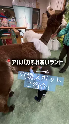 東大ママのTikTok投稿