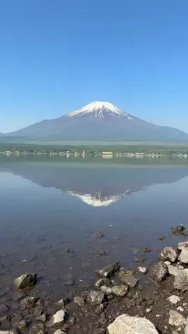 らいと🗼lightのTikTok投稿