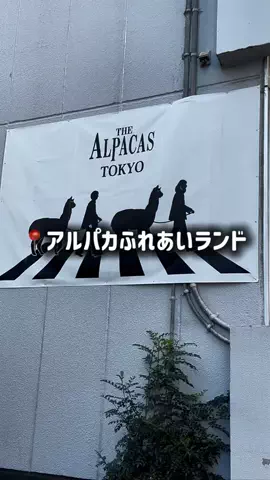 東大ママのTikTok投稿