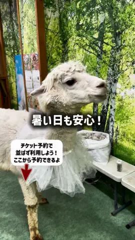 東大ママのTikTok投稿